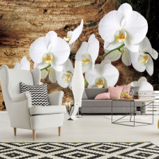 Een fotobehang van een boom met orchideeėnbloemen tegen een natuurlijke achtergrond, ideaal voor een slaapkamer of huiskamer.