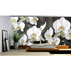 Een fotobehang met orchideeėn tegen houten planken, ideaal voor een slaapkamer of woonkamer.