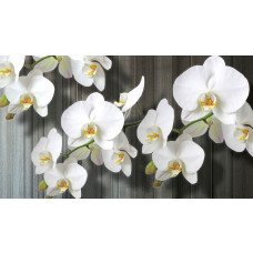 Fotobehang van orchideeën op een houten achtergrond, ideaal voor een rustieke natuurlijke sfeer.