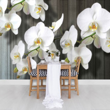 Een fotobehang met serene orchideeėnbloemen en een houten plank achtergrond, geschikt voor een eetkamer.