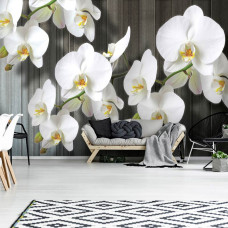 Een fotobehang van orchideeėn op een achtergrond van houten planken, perfect voor een woonkamer of eetkamer.