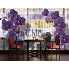 Een fotobehang van orchideeėn op een houten muur voor de keuken.