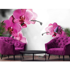 Een fotobehang met een close-up van roze orchideeėn in een natuurlijke tuinsetting.