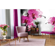 Een fotobehang met roze orchideeėn, levendig weergegeven in een woonkamer.