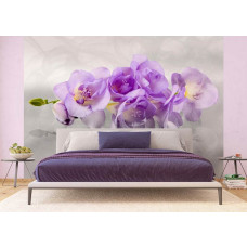 Een fotobehang van een orchideeėnpracht, ideaal voor het toevoegen van een bloemrijke, rustgevende uitstraling in een slaapkamer.