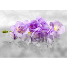 Een fotobehang van een orchideeėnpracht, dat een elegante en frisse sfeer creėert in elke ruimte.