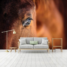 Een close-up fotobehang van een bruin paard.