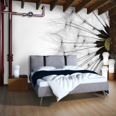 Een fotobehang met witte paardenbloemen in een serene natuurlijke stijl, ideaal voor een woonkamer.