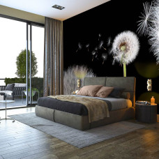 Een fotobehang met gedetailleerde paardenbloemen, geschikt voor zowel huiskamer als slaapkamer.