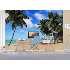 Een fotobehang van palmbomen bij de zee op een strand, ideaal voor een tropisch gevoel in een kantoor.
