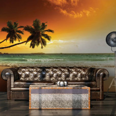 Een fotobehang van palmbomen boven het strand en de zee, tropisch thema voor de mancave.