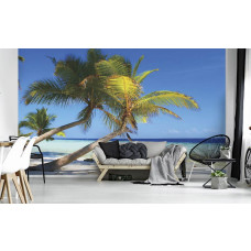 Een fotobehang met palmbomen aan een zonnig strand met zee, zichtbaar in een woonkamer.