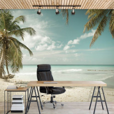 Fotobehang van een palmboom aan de zee, perfect voor het kantoor.