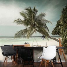 Fotobehang van een schommel op het strand bij de zee met palmbomen, ideaal voor het kantoor.
