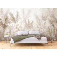 Een fotobehang met een pampasgras tuin in de slaapkamer, waarin de luchtige grashalmen en subtiele aardetinten zorgen voor een serene en ontspannen ambiance.