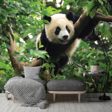 Een fotobehang van een reuzenpanda tussen de takken in de huiskamer.