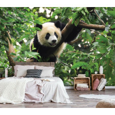 Een fotobehang met een reuzenpanda die in een boom klimt voor de slaapkamer.