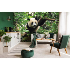 Een fotobehang met een pandabeer in een boom in de woonkamer.