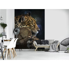 Een fotobehang met een panter in een dicht beboste omgeving, ideaal voor een woonkamer.