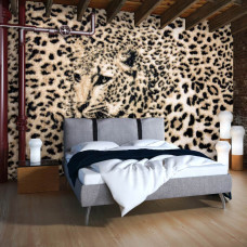 Een fotobehang met een panterprint en luipaard patroon voor de slaapkamer.