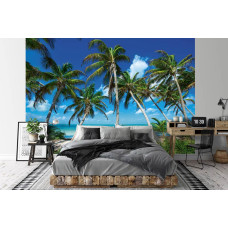 Een fotobehang van paradijselijke palmbomen op een tropisch strand in vliesbehangstijl voor een slaapkamer.