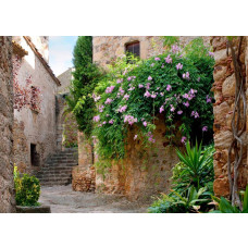 Een fotobehang van een patio tuin in Peratallada.