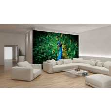 Een fotobehang van een groene pauw in een huiskamer.