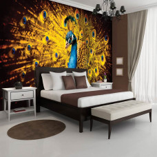 Een fotobehang van een pauw met oranje details in vliesbehangstijl voor een slaapkamer.