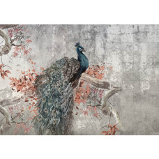 Fotobehang van een geschilderde pauw op een betonnen achtergrond, een industriële en kunstzinnige weergave van de vogel.