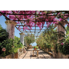 3D-fotobehang van een bloementunnel onder een pergola, met kleurrijke bloemen en bladeren die de ruimte omlijsten.
