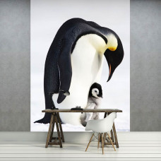 Fotobehang Pinguïns