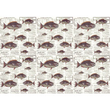 Piranha's weergegeven in een dynamische en speelse krantenstijl, opvallend weergegeven op dit unieke fotobehang.