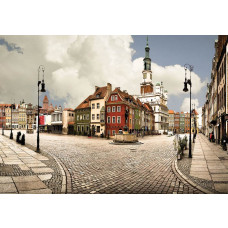 Poznan panorama, fotobehang met een weergave van Poolse monumenten en gebouwen, ideaal voor een stedelijke ruimte.