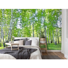 Een fotobehang van de pracht van het berkenbos met naadloze elementen in een serene slaapkamer.