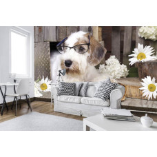 Een fotobehang met een hond in professorstijl, ideaal voor de kinderkamer.