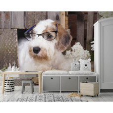 Een fotobehang met Professor Hond uit de Dolle Beestenboel-serie, geschikt voor een kantooromgeving.