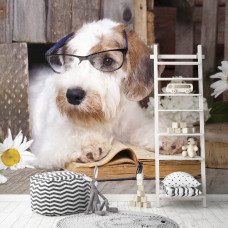 Een fotobehang van Professor Hond in een speelse setting voor de speelkamer.