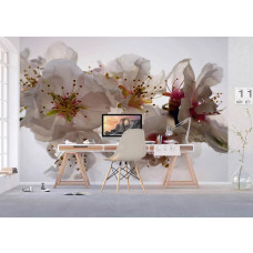Een fotobehang van pruimenbloesems bloemen in een kantoor.