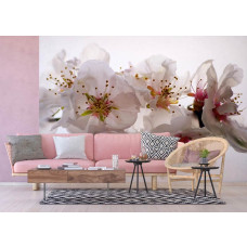Een fotobehang van pruimenbloesems bloemen in een woonkamer.