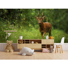 Fotobehang met een wilde ree in het bos in een speelse kinderkamer.