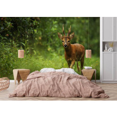 Fotobehang van een ree in een rustig bos voor de slaapkamer.