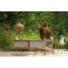 Fotobehang met een wilde ree tussen het groene bos in een stijlvolle woonkamer.