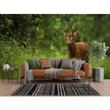 Fotobehang van een close-up met een wilde ree in het bos in een moderne woonkamer.