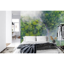 Een fotobehang met een serene regenwoudomgeving in zachte mist, perfect voor een slaapkamer.