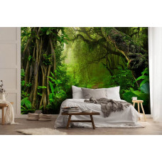 Een fotobehang met een weelderig regenwoud en een dichte jungle, ideaal voor een slaapkamer.