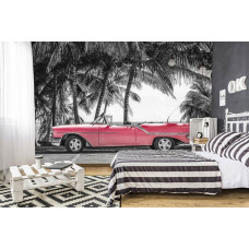 Fotobehang van een rode auto met palmbomen en de zee in Cuba, ideaal voor de slaapkamer.