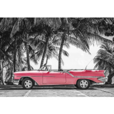 Rode klassieke auto aan een tropisch strand in Cuba, met palmbomen en een blauwe zee in de achtergrond, fotobehang voor een levendige vintage sfeer.