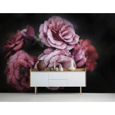 Een fotobehang met romantische rozen en pioenrozen in zachte tinten, geschikt voor een sfeervolle huiskamer.