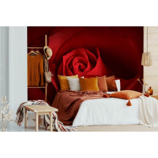 Een fotobehang met een elegante rode roos, ideaal voor de slaapkamer.