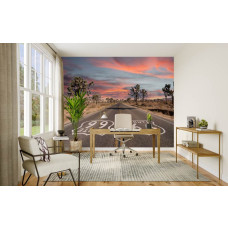 Fotobehang met historische Route 66 en Joshua Trees bij zonsondergang in het kantoor.